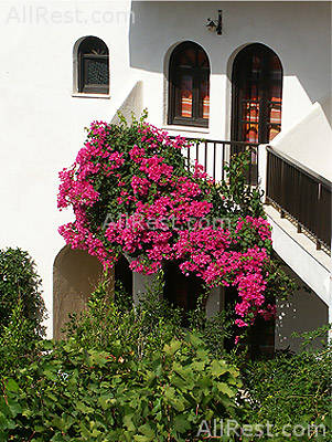 Porto Belissario Hotel 2